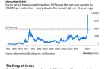 ㅈ되고 있는 코코아 가격 급상승 흐름