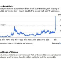현재 큰일났다는 코코아 가격 급상승 추세