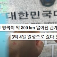 [재외국민투표] 56% 넘어 역대 최고 """"3박4일 걸려 투표하고.....