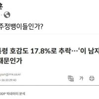 """"윤대통령 호감도 17.8%""""