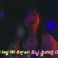 [르세라핌] 콜라텍에 간 김채원 사쿠라 - 별 박보영 임수정