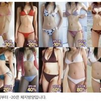 일본의 여성몸매 취향표