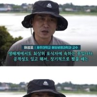 한국에서 의외로 환영받고 있는 외래종