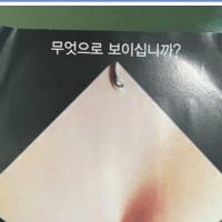 성폭력 근절 포스터