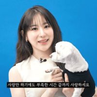 [아이즈원] 이채연 초미니 각선미 - 싱글즈 반려동물 캠페인