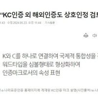 [단독]정부 “KC인증 외 해외인증도 상호인정 검토”