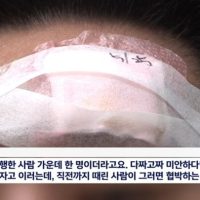 [뉴스] 부산경찰, 시민 무차별 폭행한 조폭 방치