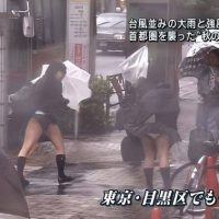 일본은 강풍이 부네