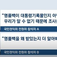 ''김여사 명품백'' 권익위의 반전 윤 대통령 수사 송부  1표 차로 면했다