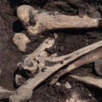 종로에서 500년전 추정 소뼈 발견